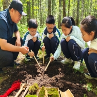 古法抬参实操研学课，亲手传承长白山非遗放山技艺